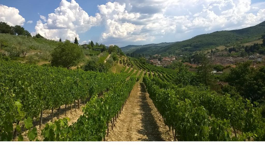 Villa Podere Campriano Winery Greve in Chianti Exterior foto